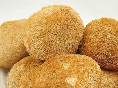 猴头菇榛蘑,猴头菌蘑菇