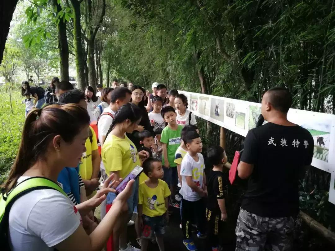 “回趣童真，weare伐木累”乔森驾校亲子活动