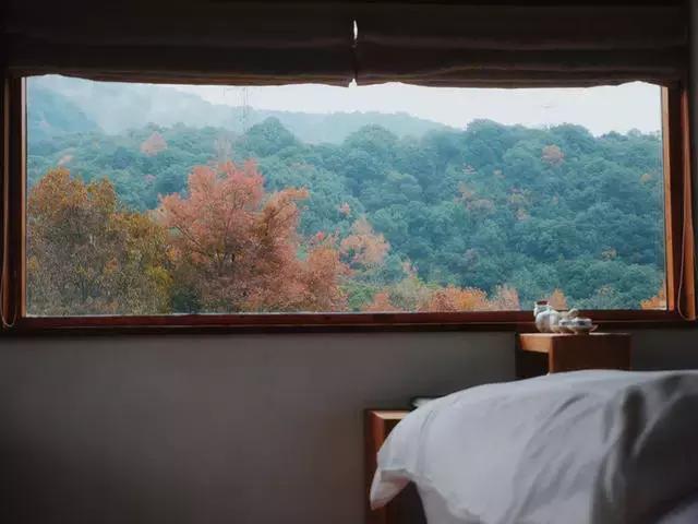 蓝宝书好吗,浙江民宿经营现状