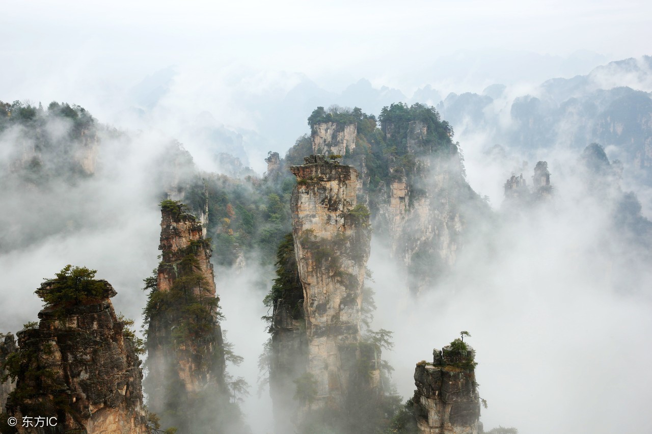 阿华讲解电影,阿华讲白话