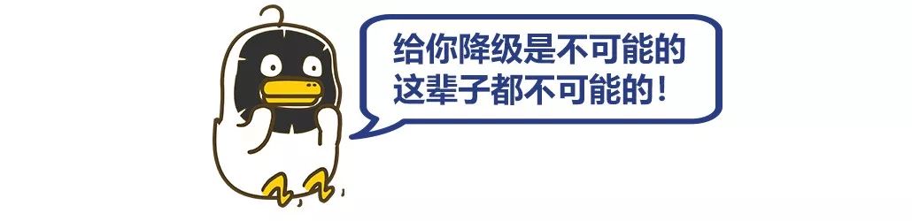 iOS11.4出现相机故障,网友直播虐猫还收费,微信下架拼房小程序|科技BB鸭