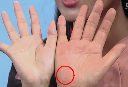 手的健康识别,手型看健康