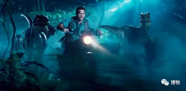 特暴龙为什么是恐龙最强的,暴龙跟霸王龙有多像