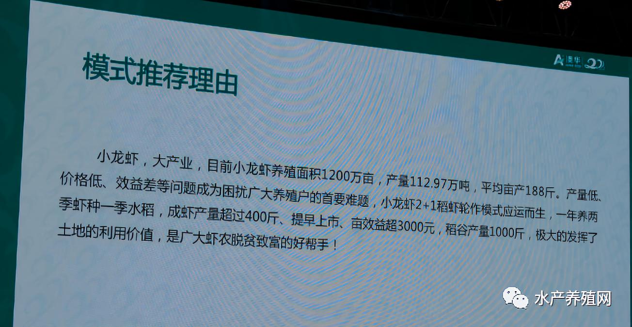 澳华总裁,澳华集团董事长许愿斌