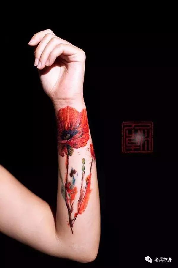 纹身素材视频,纹身素描手稿线条