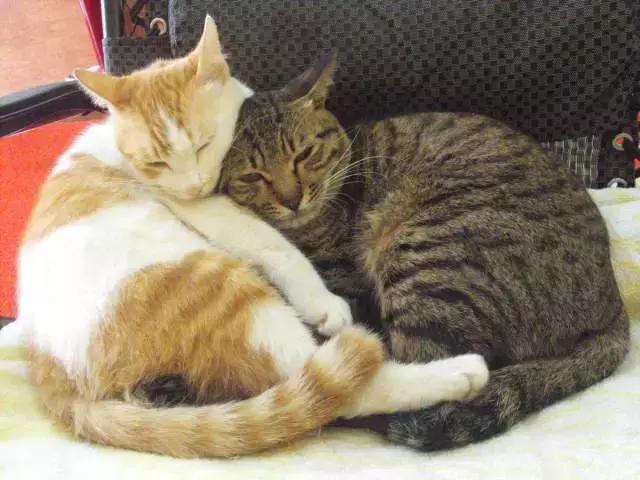 美丽新时代全集免费,美丽新时代3