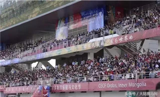 赛马现场直播电台,赛马直播间在线观看新疆