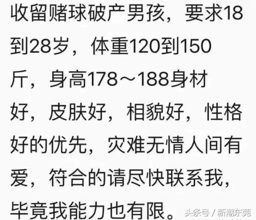 这就是你老婆熬夜看世界杯的理由！哈哈哈哈哈哈