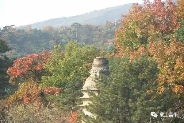 银山塔林冬天好玩吗,银山塔林四季景点