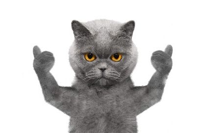 关于*月天五**，不得不说的世界杯主题曲——由我们主宰