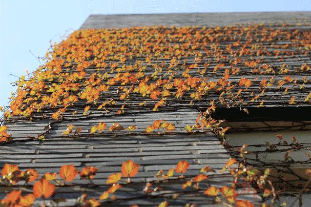 浙江衢州二中2023高考喜报,衢州二中高考上浙大率