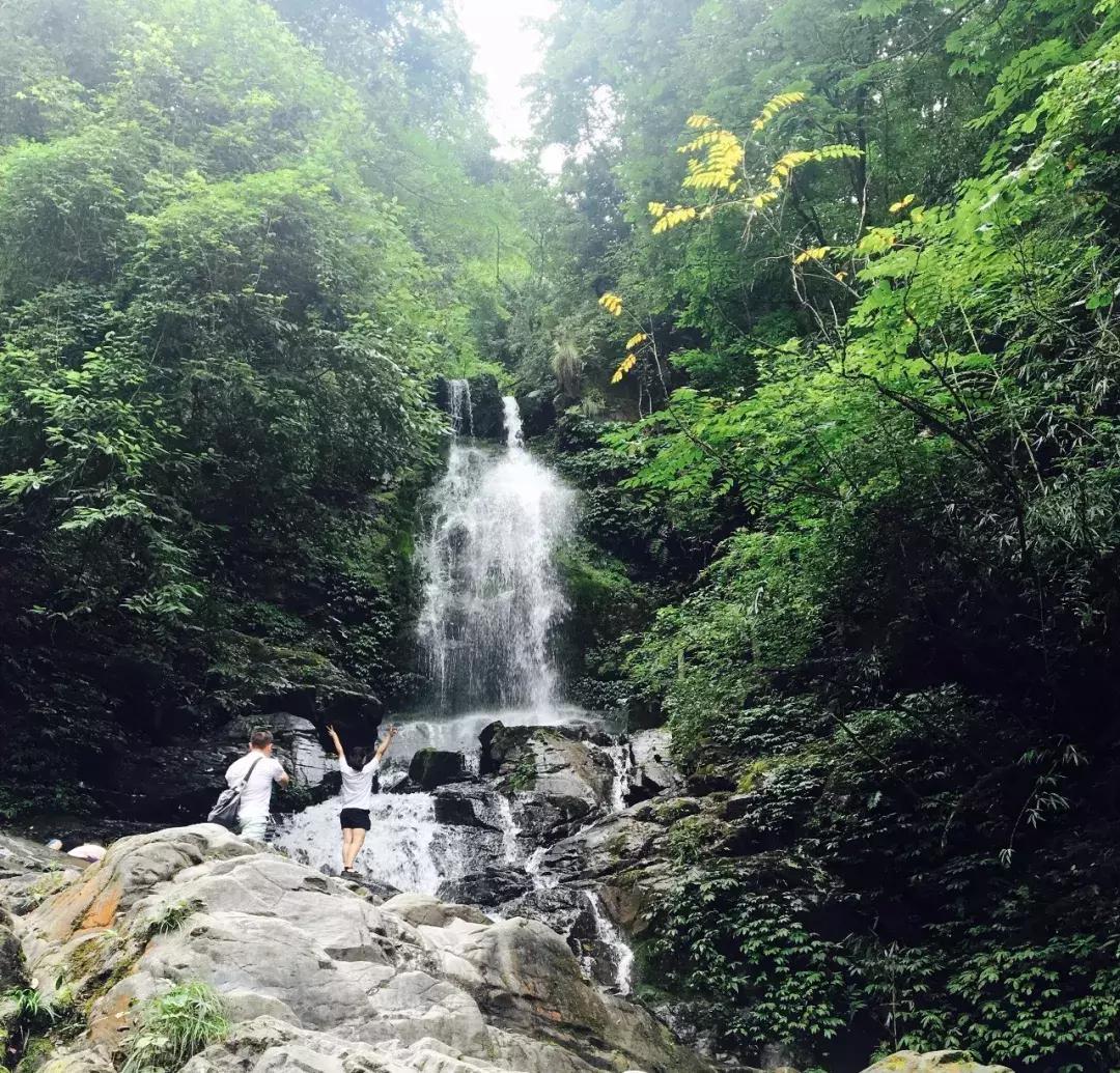 成都周边小众森林秘境,成都周边有山有水还免费的地方