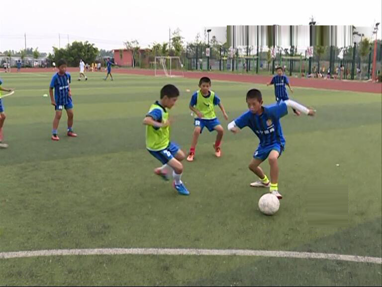 小学生世界杯足球赛,世界杯小学生足球比赛