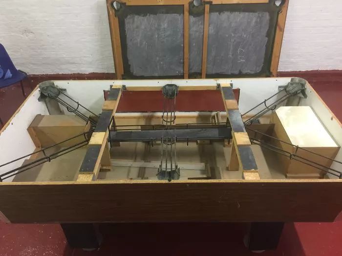 28张活久见的罕见照片,活久见100张图片