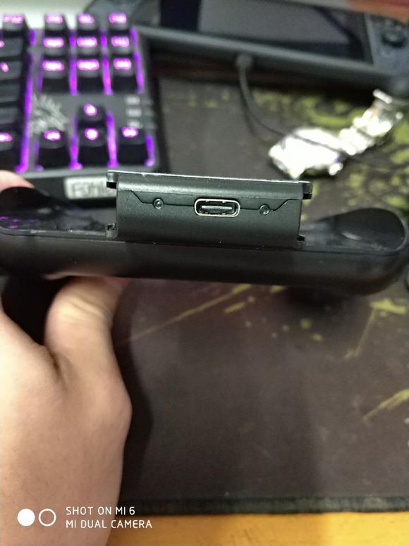 ns有什么必买的配件,新手小白入ns该怎么玩