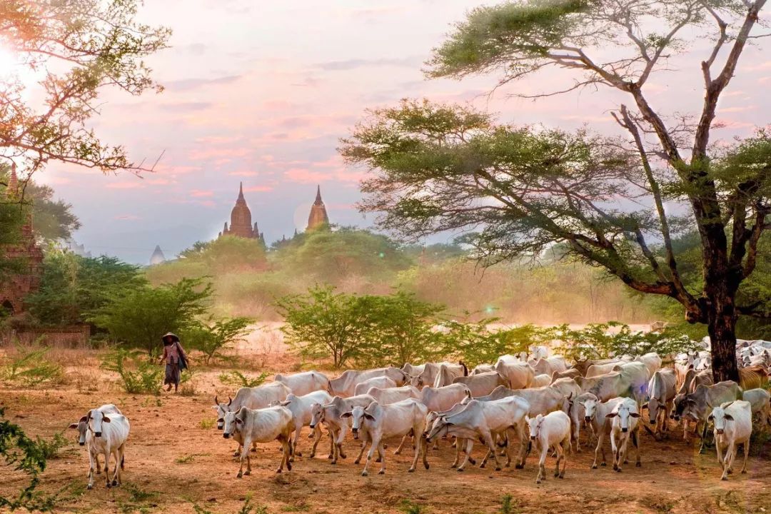 适合暑期去的免签落地签国家,免签落地签旅游推荐