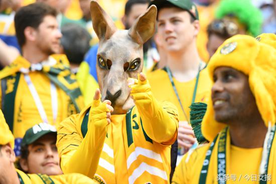头顶“球场”化“猫”妆,“变相怪杰”满场飞,世界杯球迷谁最强