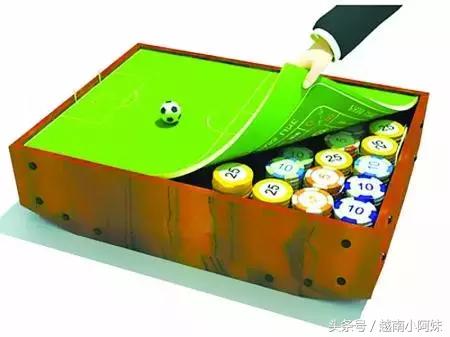 高晓松浅谈世界杯,高晓松足球阴谋论