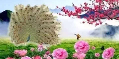 早上好祝自己好运连连,行好运发大财的祝福