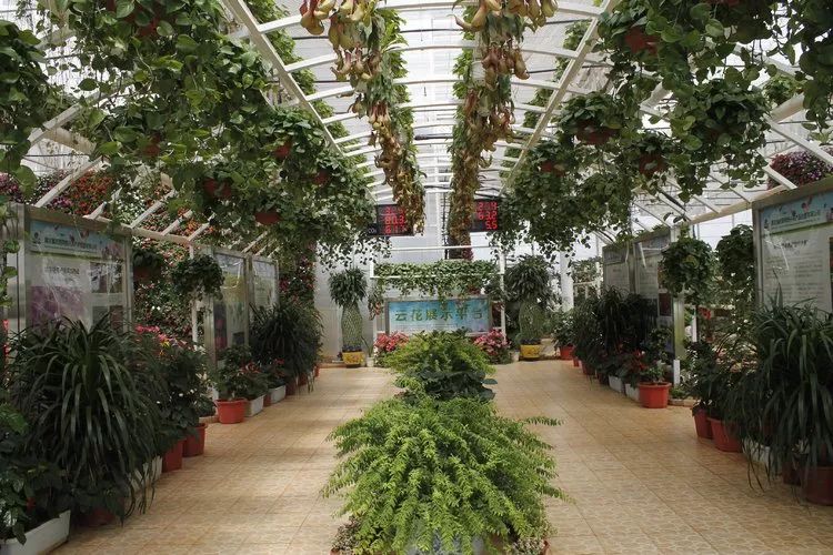 嵩明景点推荐,嵩明旅游景点有哪些