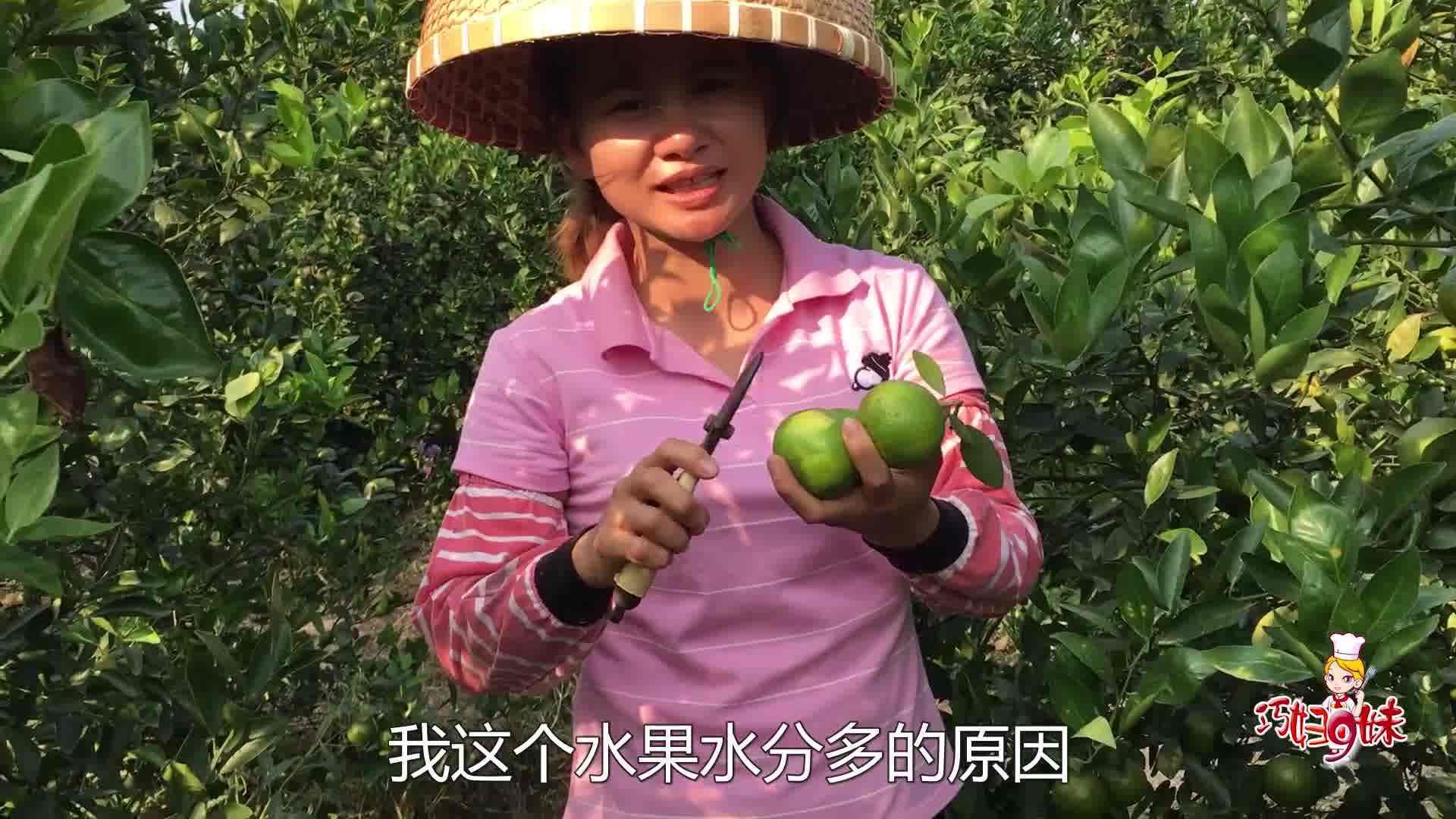 巧妇9妹水果专卖店,巧妇9妹小六小丽摘水果