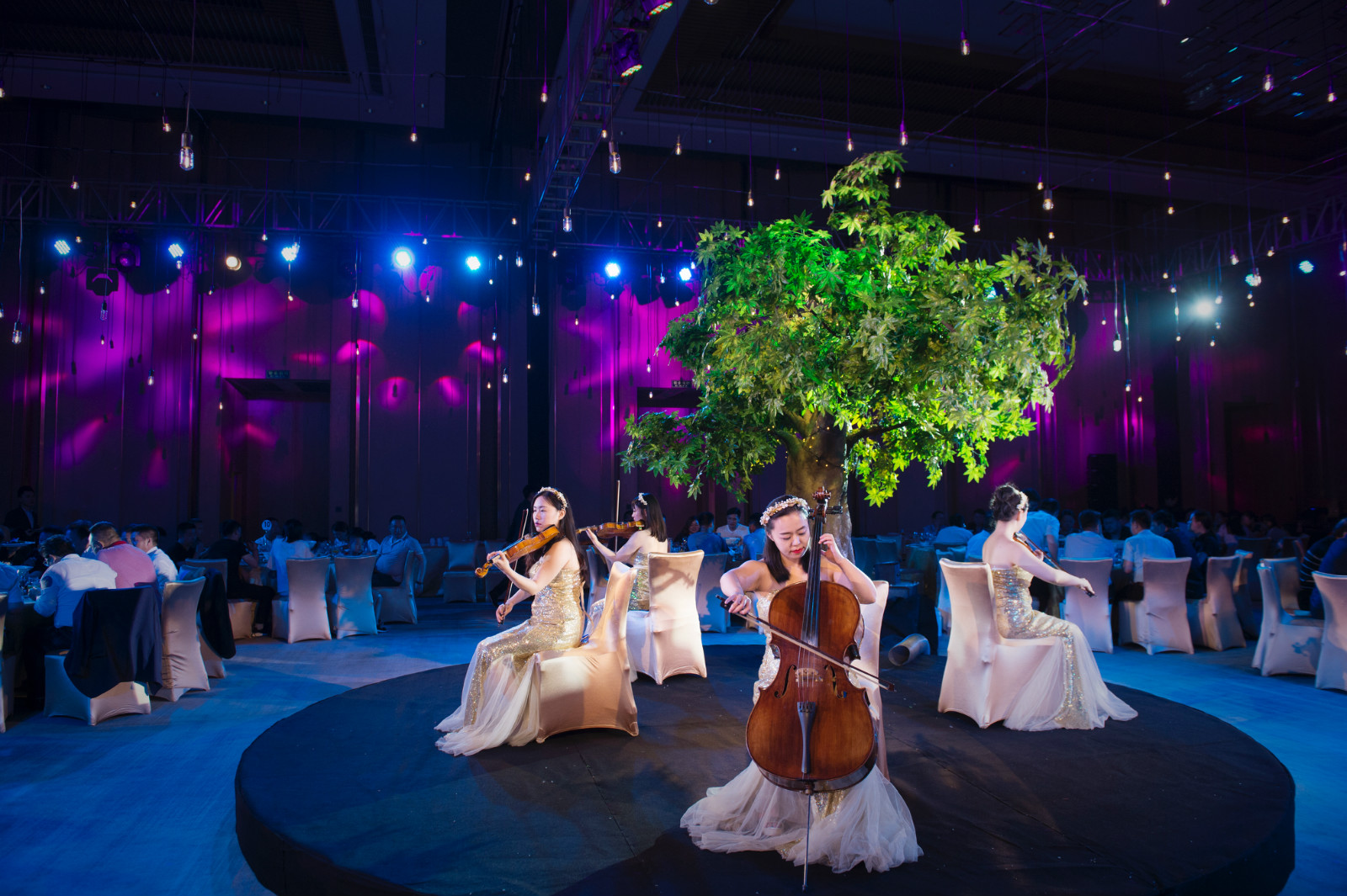 瑞士天珺石英女士腕表,瑞士天珺女表月亮女神