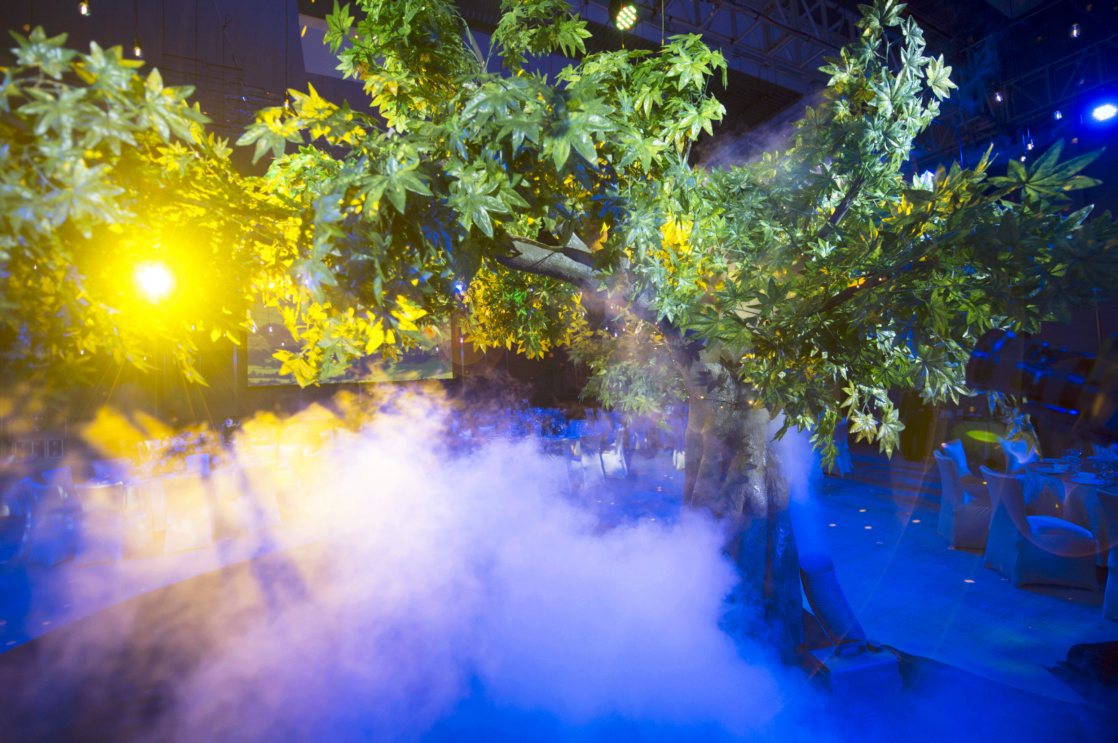 瑞士天珺石英女士腕表,瑞士天珺女表月亮女神