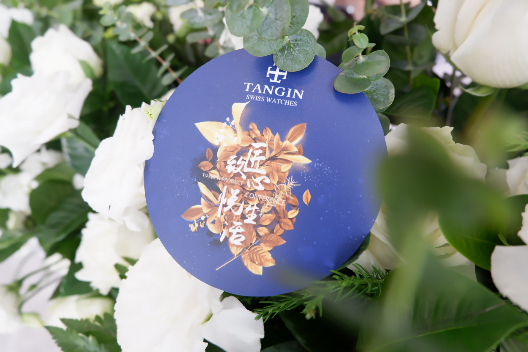 瑞士天珺石英女士腕表,瑞士天珺女表月亮女神