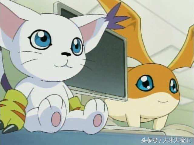 二次元猫知识科普 (二次元各种猫的介绍)