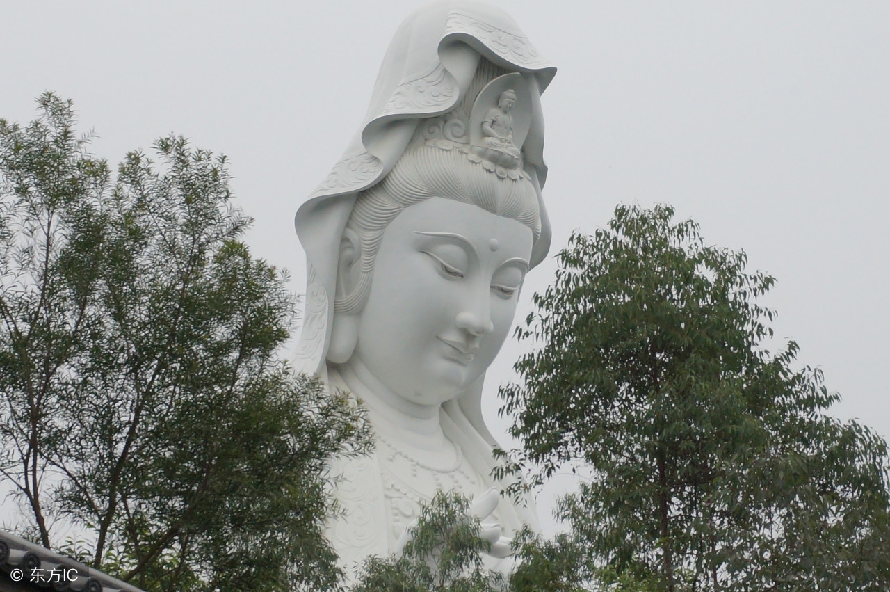 中国最不差钱的寺庙，免费斋饭咖啡，不要香火，靠首富出巨资支持