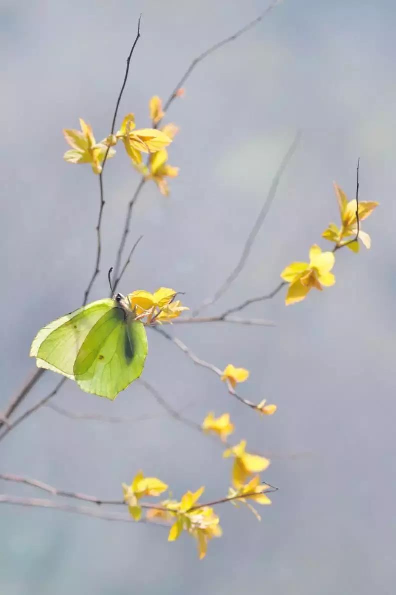 做个花心的女人视频,做个花心的女人歌曲