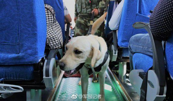 中国毒情形势报告发布,中国毒品形势报告2014