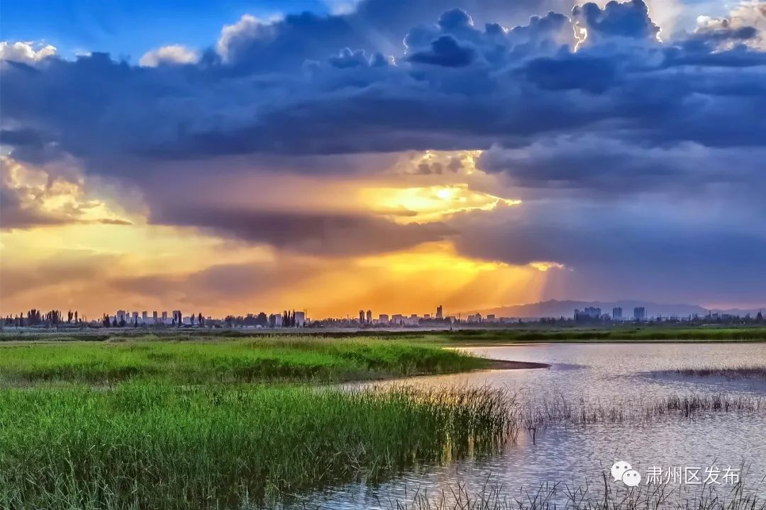 太迷人了！肃州区的这幅生态画卷越绘越美丽！