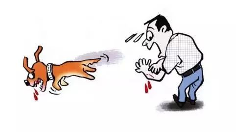 狂犬病致死率100%，这些救命知识一定要早知道！