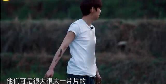 何炅穿2千元T恤插秧被喷？baby干脆穿6500元爆款下泥田