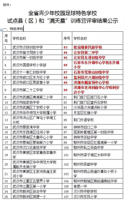 湖北荆州足球青训,荆州少儿足球培训