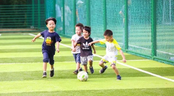 你一球我一球，国足未来有新秀！——助力足球梦想种子浙里发芽