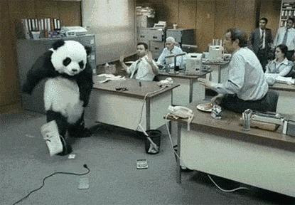 世界上最高龄大熊猫,大熊猫战兽