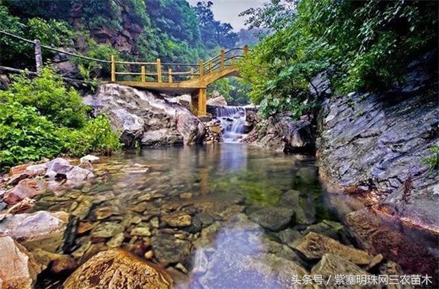 梨木台古树农家院,蓟县梨木台兴业缘农家院