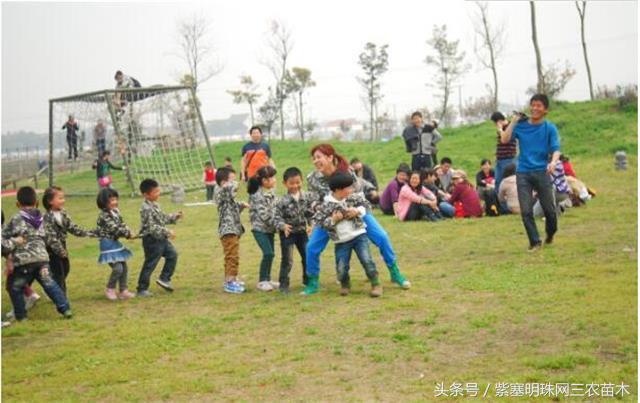 梨木台古树农家院,蓟县梨木台兴业缘农家院