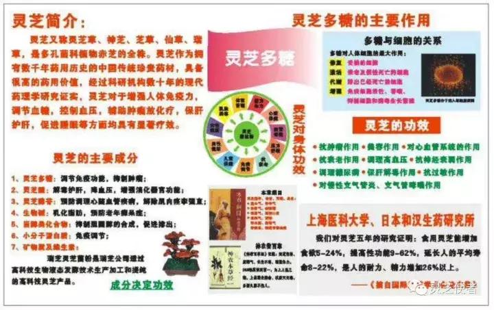 灵芝服用多久能够见效呢,灵芝泡水治失眠多久见效