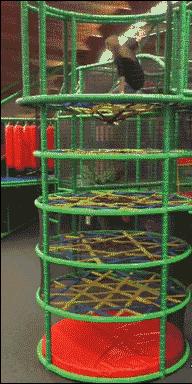 当了一天摄影师，我却中暑流鼻血，真是不服老不行啊