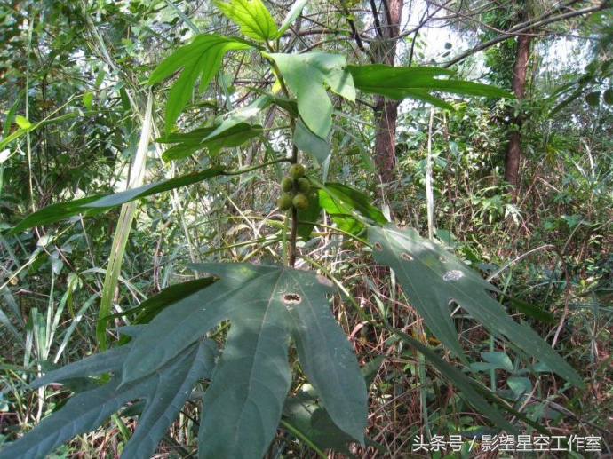 奶香味十足的牛奶,奶香味十足的牛奶有哪些