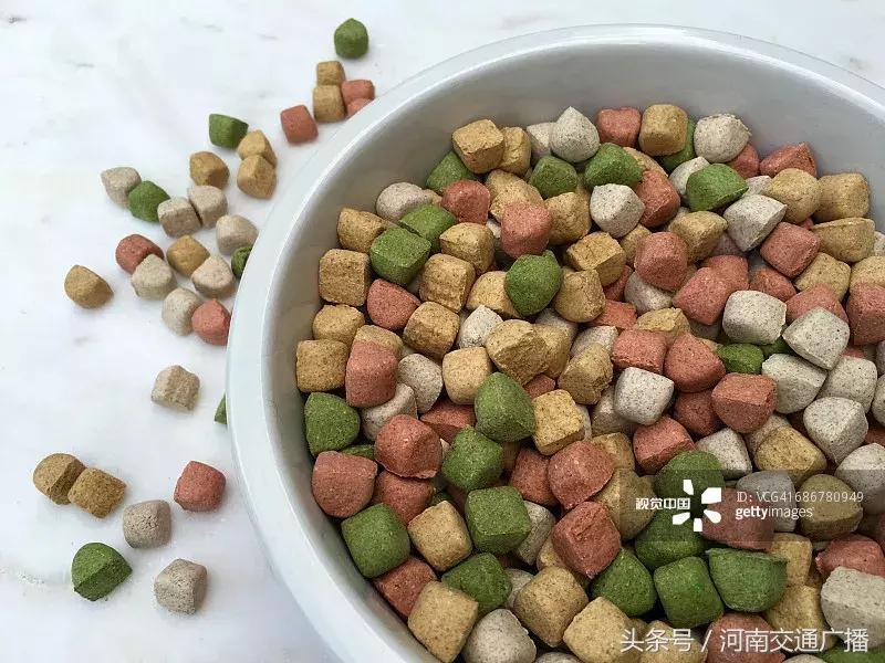 留学生回国卖宠物,女留学生被卖宠物