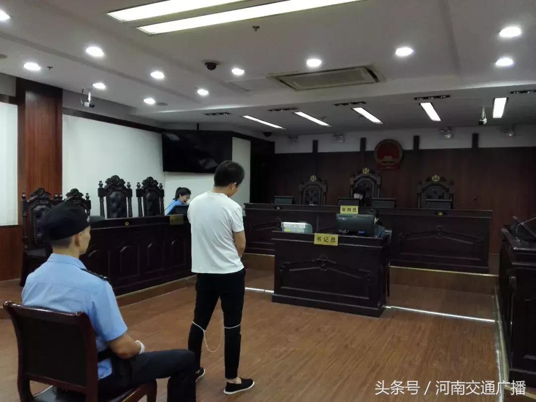 留学生回国卖宠物,女留学生被卖宠物