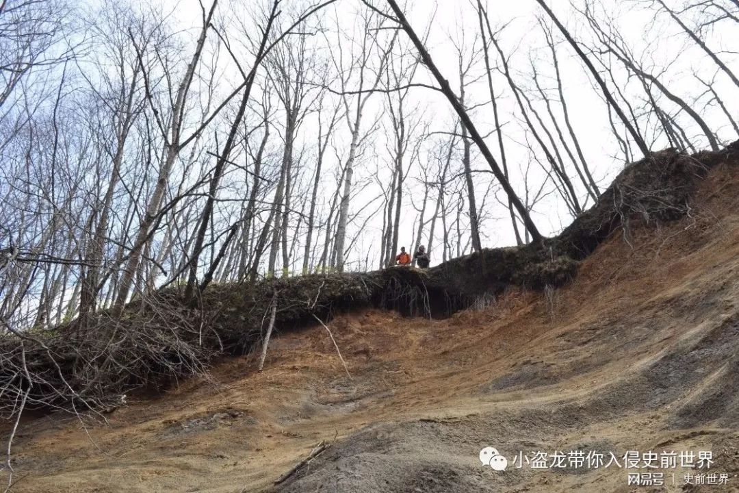 在日本发现的恐龙化石,史上最完好的恐龙化石