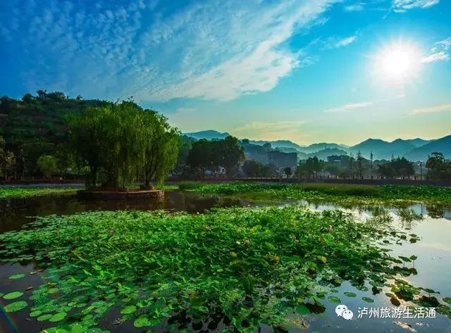 首批省级生态园林城市(县城)叙永上榜!都来看看它有啥“绝招”~