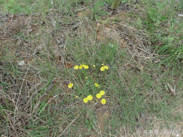 杨贵妃去了寺庙发生了什么,杨贵妃呆过的寺