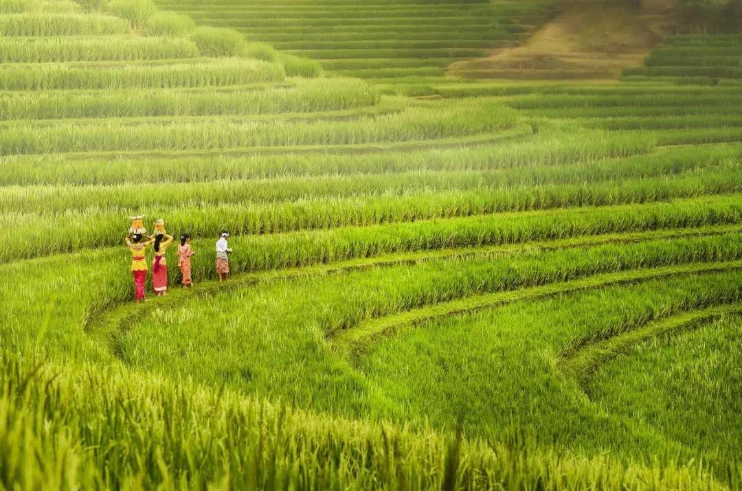 秋季旅行大片,旅行摄影大片有哪些