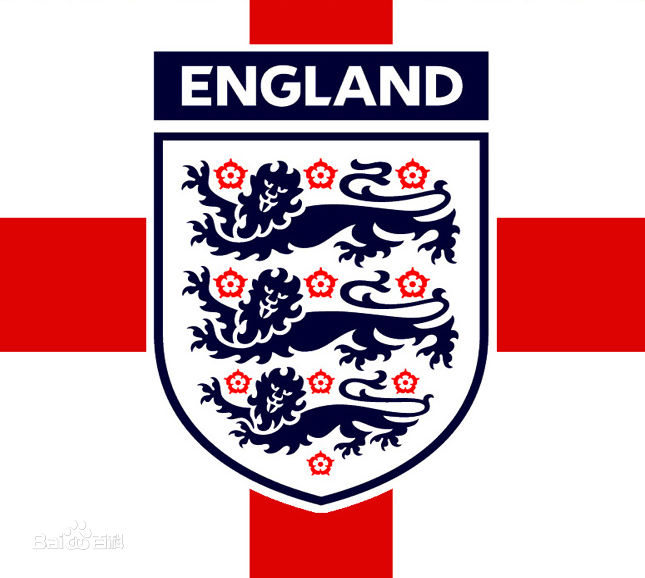 潘帕斯雄鹰世界杯阵容,潘帕斯雄鹰是哪个国家足球队